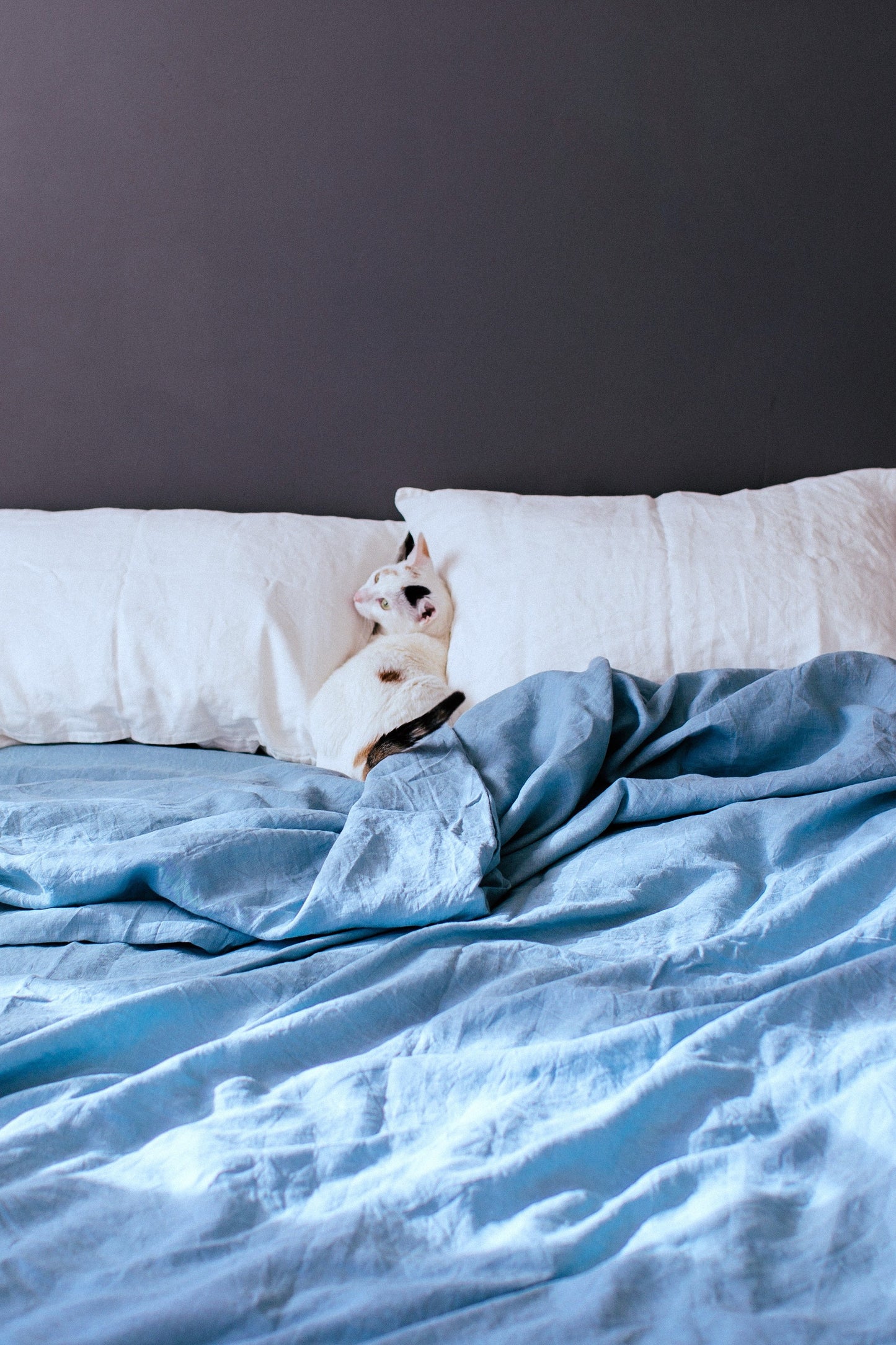 Set of 2 Midweight Linen Pillowcases in Natural White color