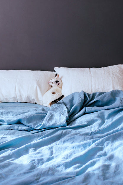 Set of 2 Midweight Linen Pillowcases in Natural White color