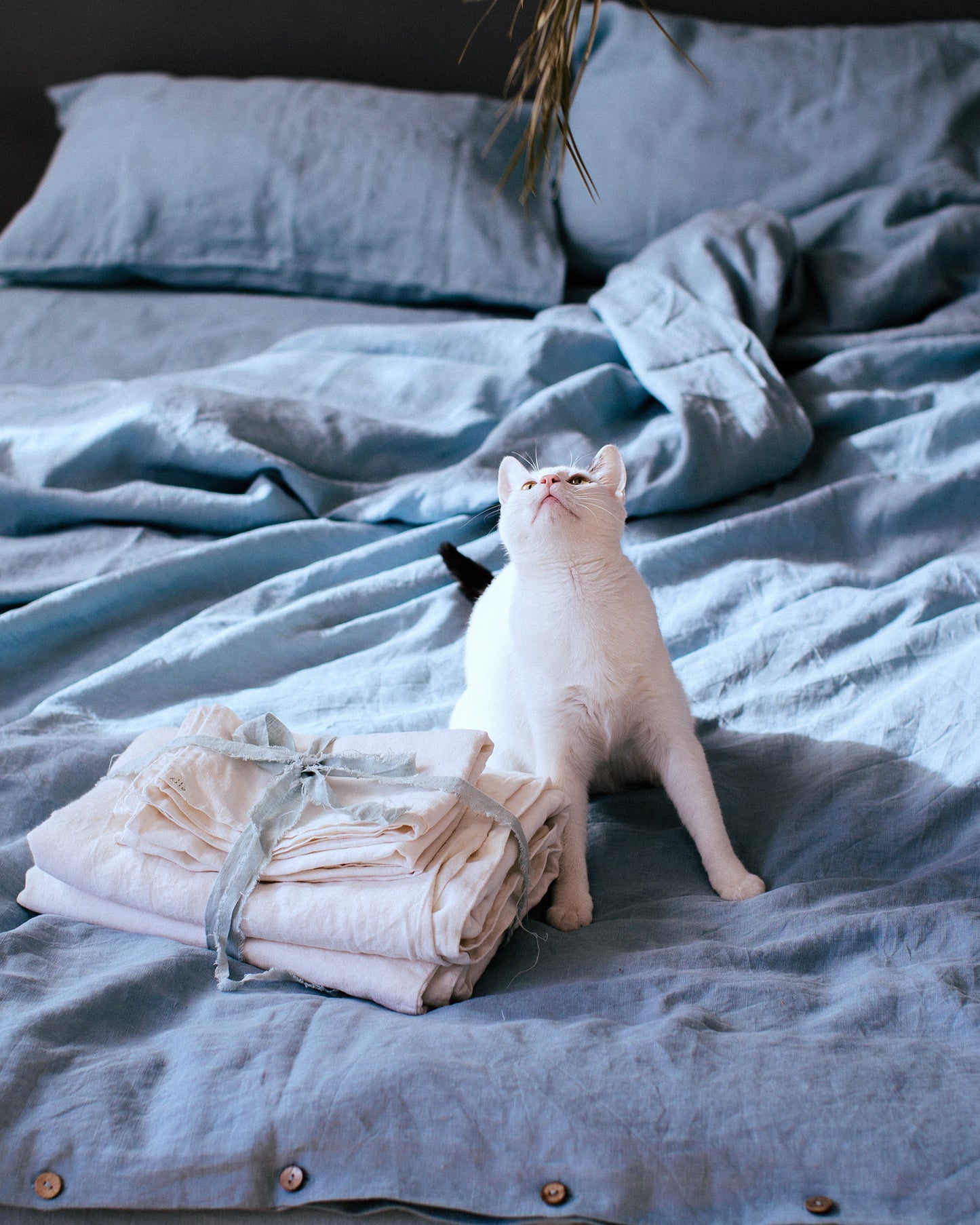 Set of 2 Linen Pillowcases in Aquamarine Blue Color